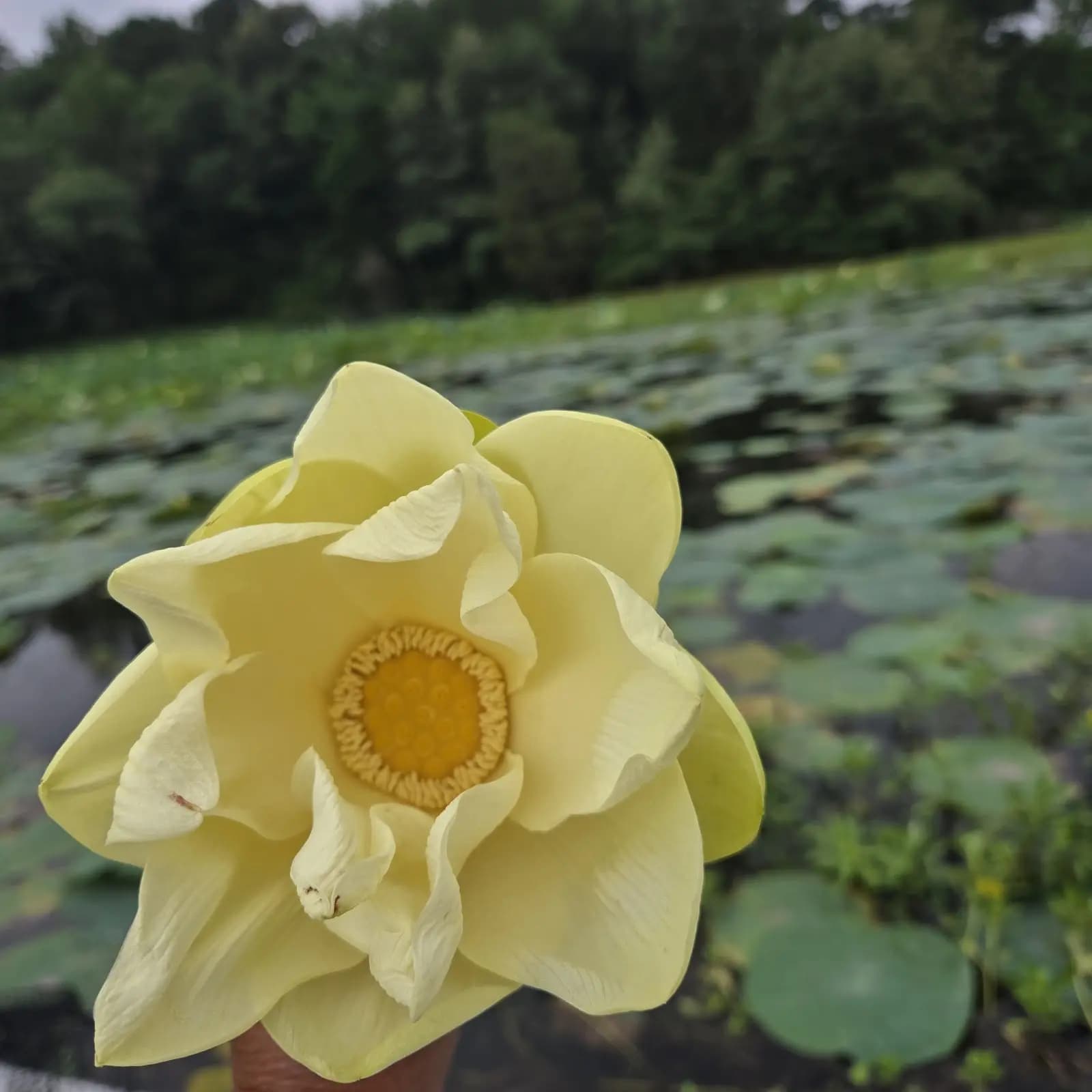 Guntersville trip · Monday photo record photo 1 of 6