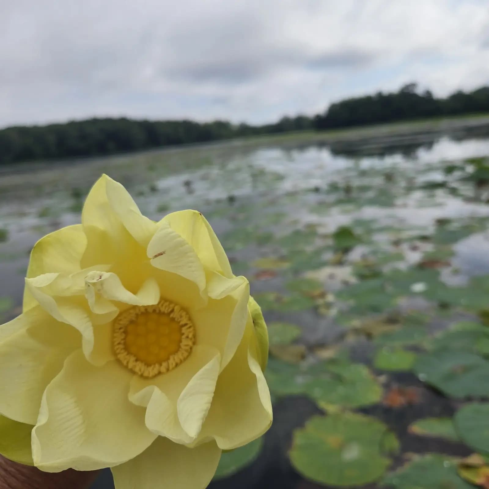 Guntersville trip · Monday photo record photo 4 of 6