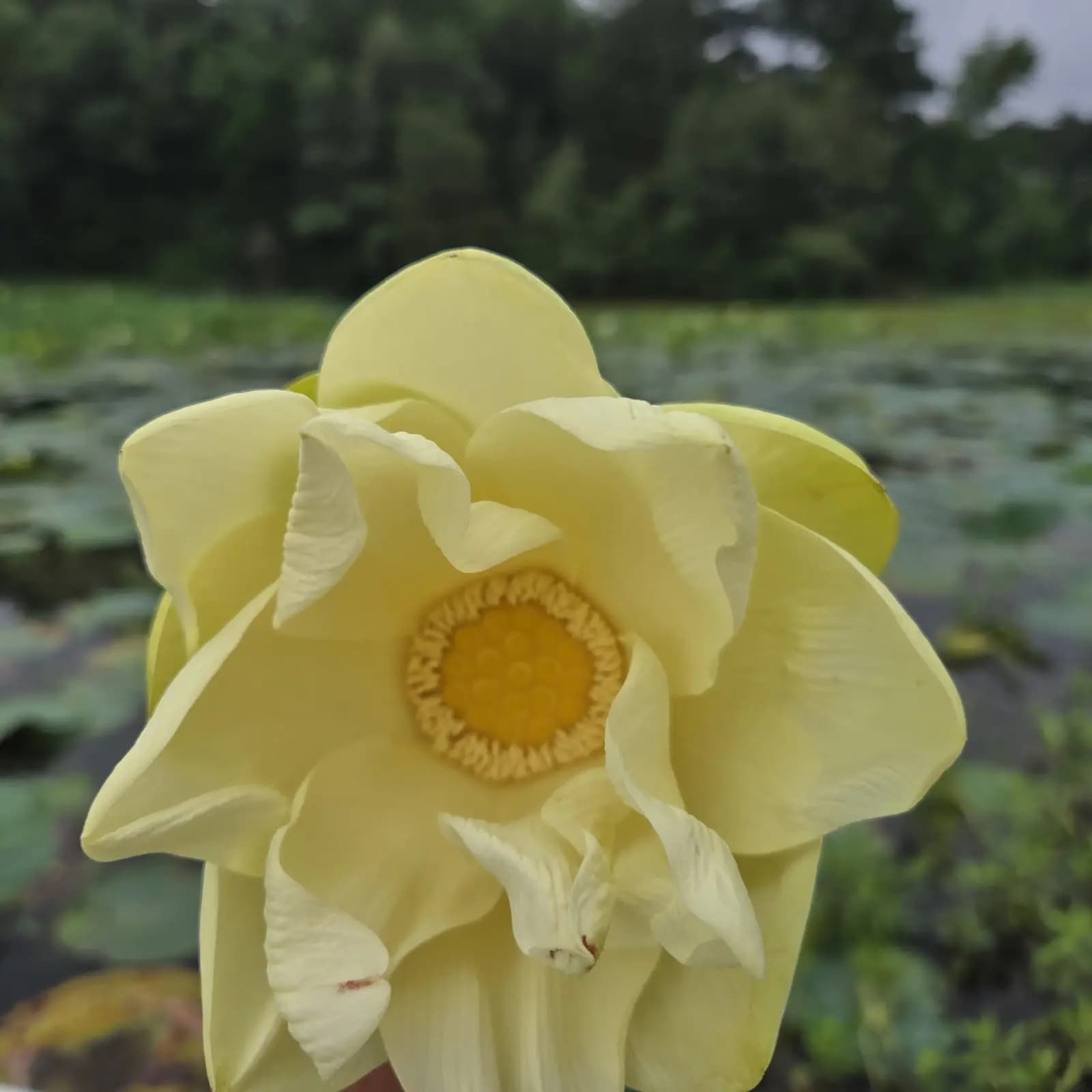 Guntersville trip · Monday photo record photo 5 of 6